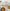 Silicone Kitchenware Cooking Utensils Set Heat Resistant Kitchen Non-Stick Cooking Utensils Baking Tools